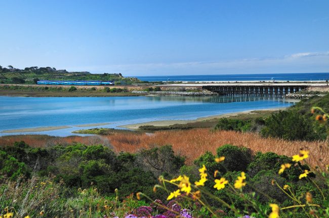 3 Fun Places in Carlsbad that Don’t Cost a Dime