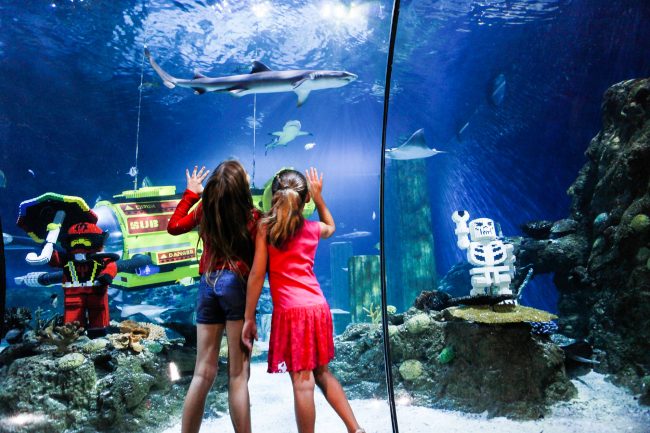 SEA LIFE® Aquarium Carlsbad